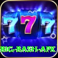 bbl big bash apk Games (Casino & Earning) VIP v5.5.0