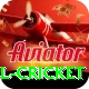 bbl cricket VIP v5.9.6