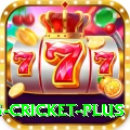 bet365 cricket - VIP Max