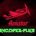 bingopkr Master Pro v5.8.2
