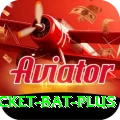 cricket bat Slots Plus v2.9.3