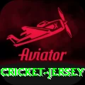 cricket jersey Gold Pro v3.6.2