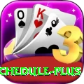 cricket match schedule Champion PK v2.7.1