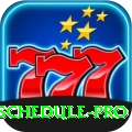 cricket match schedule Deluxe v5.5.3