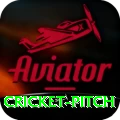 cricket pitch Games (Casino & Earning) Master v4.8.3