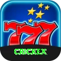 crickex Master v5.3.3