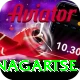 dingboche nagartse Plus Pro v3.8.0