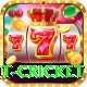 early payout cricket Gold Edition v4.5.3
