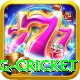 eng cricket Deluxe v3.7.8