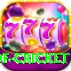 god of cricket Master Pro v5.5.9