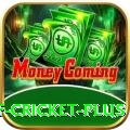 god of cricket - Gold Edition v2.0.4