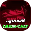grass carp Gold Edition v5.0.3