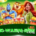 imad wasim spin Master Pro v5.8.2