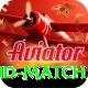 india new zealand match Deluxe Pro v3.7.0