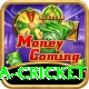 india sri lanka cricket Pro Max v1.8.4