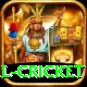 international cricket Premium Edition v3.7.3
