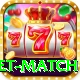 international cricket match Master Pro v4.8.7