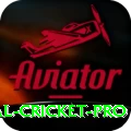 international cricket Slots Premium v5.3.2
