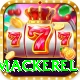 king mackerel Premium Plus v3.1.6