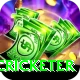mohsin khan cricketer Apps (Tools & Injectors) VIP v4.3.1