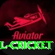 most runs in international cricket Turbo Pro v5.7.3