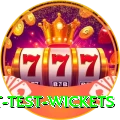 most test wickets Premium Plus v1.8.3