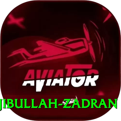 najibullah zadran Premium Plus v2.2.7 - 2