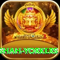 naseem shah yorkers Games (Casino & Earning) Deluxe v5.6.4