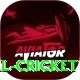 nepal cricket Ultimate v5.2.8