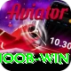 Noob Win Plus Pro v4.8.0