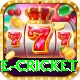 one cricket Apps (Tools & Injectors) Master v3.6.4