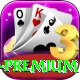 pakbet88 Slot Machine Premium