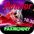 pakrummy Ultimate Pro v5.0.5
