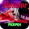 pkspin Pro v3.5.1