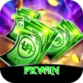 PKWin Pro1 v4.0.7
