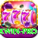 pkwin Deluxe Pro v2.8.5