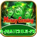 rain affected matches pk Master v1.8.2