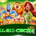 risk free bet cricket Premium Edition v1.1.4