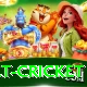 risk free bet cricket Premium Edition v1.1.4