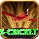 sky sports cricket Pro Edition v3.5.3