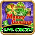 smartcric live cricket Pro Max v4.3.5
