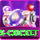 sports cricket Deluxe Edition v1.0.6