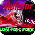 sturgeon fish - Turbo Earning App