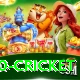 t20 cricket Plus Pro v1.8.3