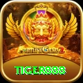 tiger888 App
