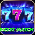 to day cricket match Premium v3.8.9