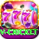 v cricket Apps (Tools & Injectors) Max v5.9.3