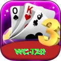 wc t20 Apps (Tools & Injectors) Deluxe v2.7.8