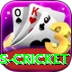 west indies cricket Deluxe Edition v5.2.2