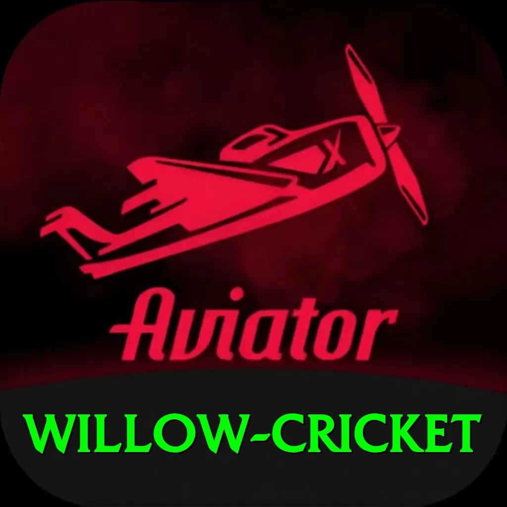willow cricket Pro Max v1.2.8 - 2
